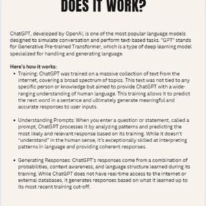 ChatGPT The Beginners Guide with Master Resell Rights, AI for Beginners eBook, Learn How to Use ChatGPT Like a Pro, PLR MRR Digital Download