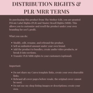 Faceless Creator Starter Kit | PLR & MRR Digital Products, Done For You DFY Canva Templates for Passive Income