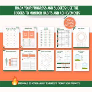 DFY Digital Products eBook Bundle PLR