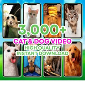 Viral Reels Bundle: 100K+ AI Animated Social Media Shorts (PDF)