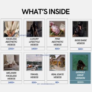 8000+ Faceless Reels Bundle | Luxury Aesthetic Faceless Videos for Instagram TikTok | Includes PLR & MRR Resell Rights DFY Digital Marketing