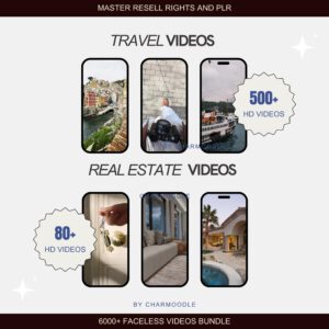 8000+ Faceless Reels Bundle | Luxury Aesthetic Faceless Videos for Instagram TikTok | Includes PLR & MRR Resell Rights DFY Digital Marketing