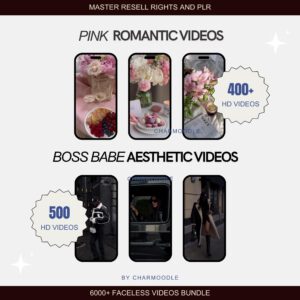 8000+ Faceless Reels Bundle | Luxury Aesthetic Faceless Videos for Instagram TikTok | Includes PLR & MRR Resell Rights DFY Digital Marketing