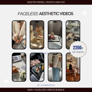 8000+ Faceless Reels Bundle | Luxury Aesthetic Faceless Videos for Instagram TikTok | Includes PLR & MRR Resell Rights DFY Digital Marketing